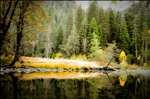 Yosemite : river reflections